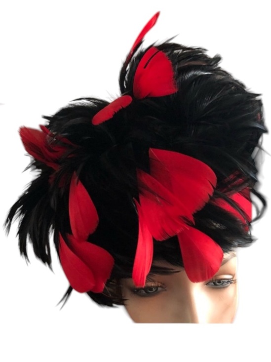 Vintage BOLLMAN Red Wool Cap Hat w Feathers main image 7